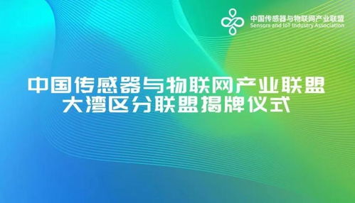 深圳抢位智能赛道, 国字号 联盟大湾区分联盟落户