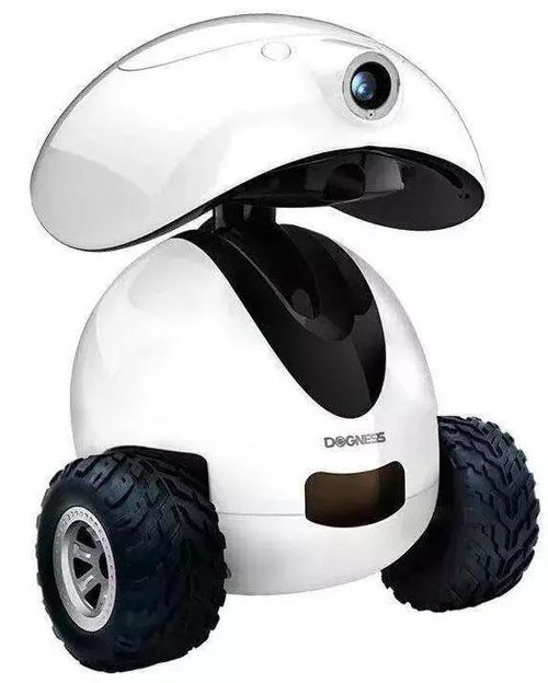 宠物新国货崛起 中宠、疯狂小狗、它它、多尼斯、依依、小鲜粮与物联网技术的融合与发展